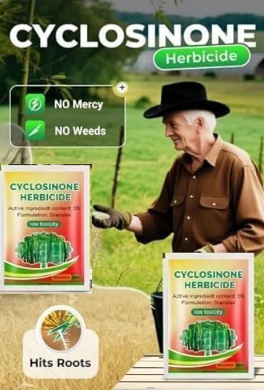 Cyclosinone Herbicide Granules (Pack of 2)