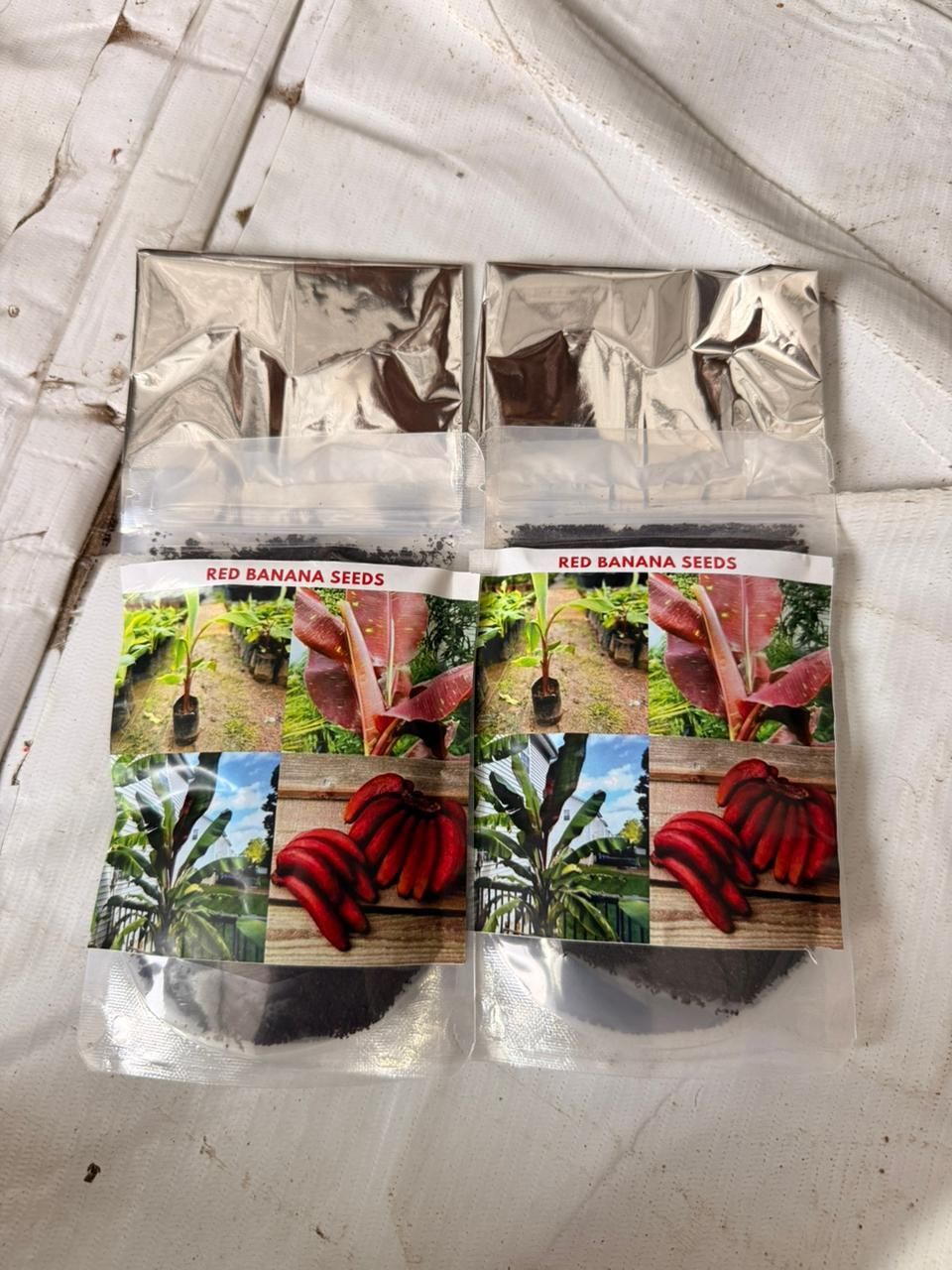 Red Banana Seeds (Pack of 2)